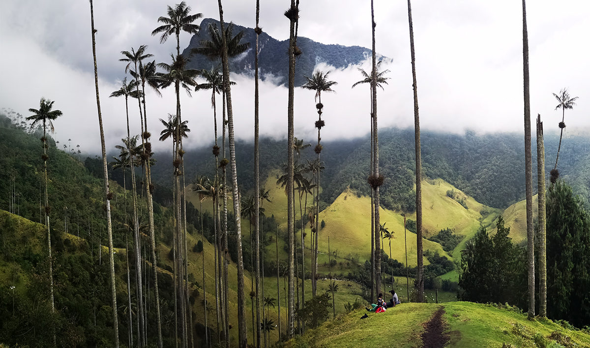 Salento & la vallée de Cocora : on se met au vert