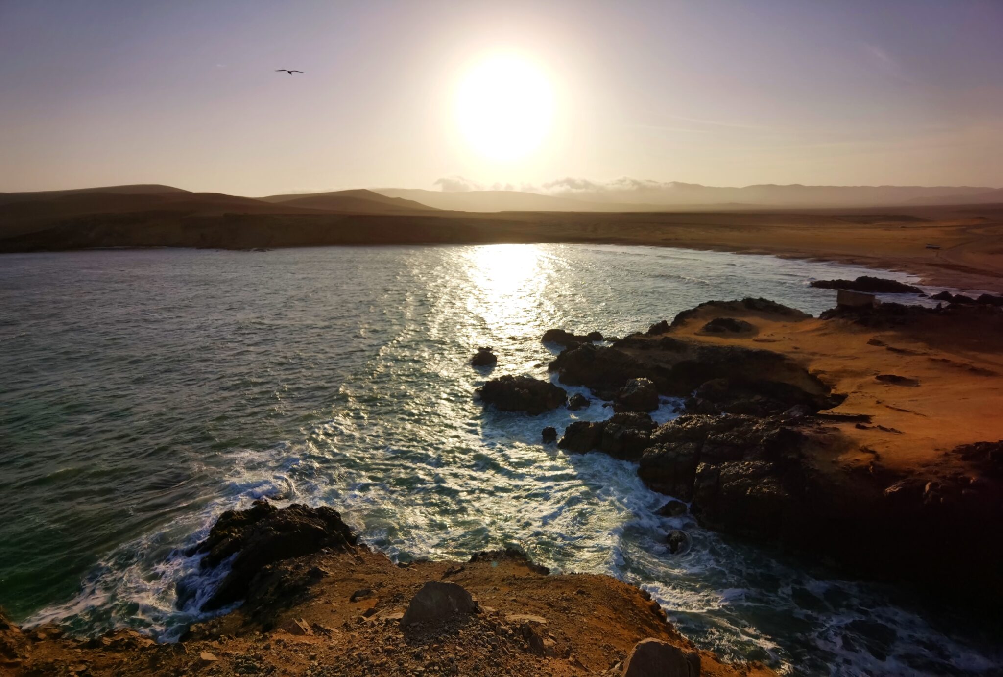 Paracas : un désert hostile et si beau